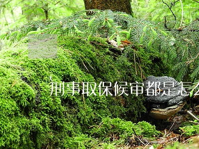 刑事取保候审都是怎么处理的 刑事取保候审都是怎么处理的
