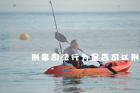 刑事司法行为是否可以刑事可诉