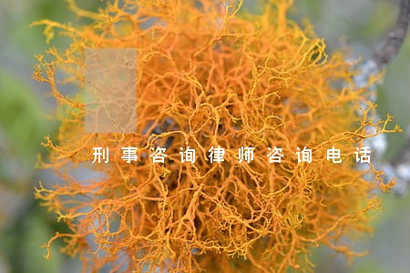 刑事咨询律师咨询电话 刑事咨询律师咨询电话