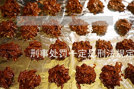 刑事处罚一定是刑法规定吗