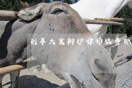 刑事大案辩护律师收费标准 刑事大案辩护律师收费标准