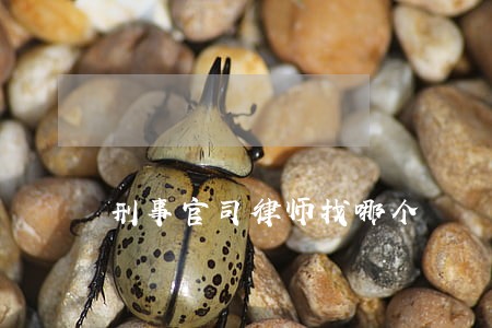 刑事官司律师找哪个