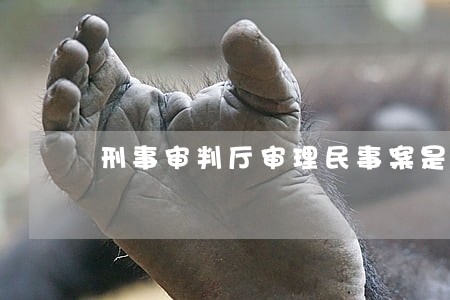 刑事审判厅审理民事案是违法