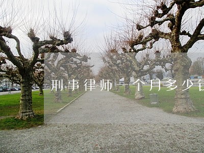 刑事律师一个月多少钱