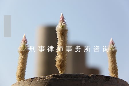 刑事律师事务所咨询 刑事律师事务所咨询