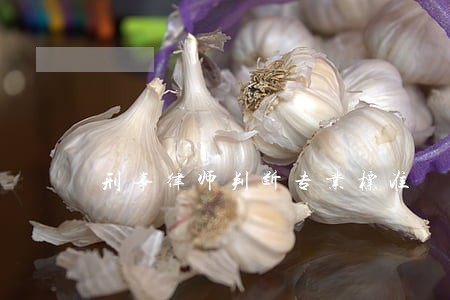 刑事律师判断专业标准 刑事律师判断专业标准