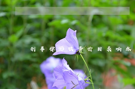 刑事律师收费价目表响水 刑事律师收费价目表响水