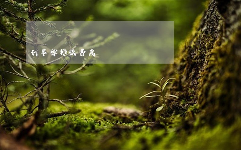 刑事律师收费高