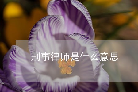 刑事律师是什么意思 刑事律师是什么意思