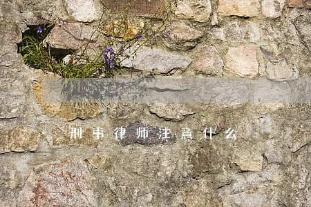 刑事律师注意什么 刑事律师注意什么