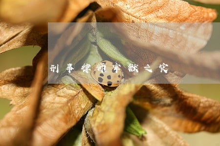 刑事律师牢狱之灾 刑事律师牢狱之灾