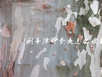 刑事律师费是怎么收取的