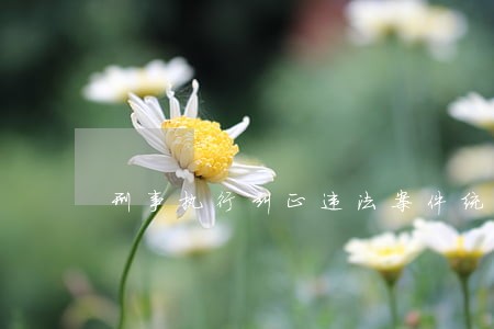 刑事执行纠正违法案件统计分析 刑事执行纠正违法案件统计分析