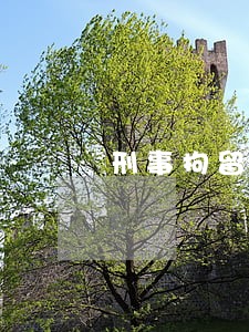 刑事拘留了律师是警察请的可以吗 刑事拘留了律师是警察请的可以吗