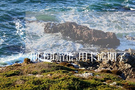 刑事拘留信用卡逾期了