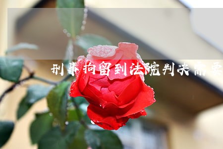 刑事拘留到法院判决需要多长时间 刑事拘留到法院判决需要多长时间