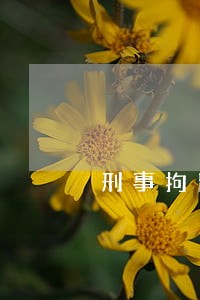 刑事拘留属于刑事违法行为吗 刑事拘留属于刑事违法行为吗