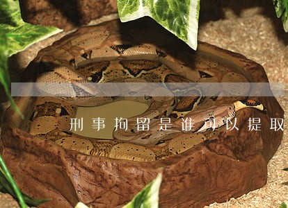 刑事拘留是谁可以提取保候审 刑事拘留是谁可以提取保候审