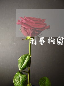 刑事拘留法律咨询收费 刑事拘留法律咨询收费