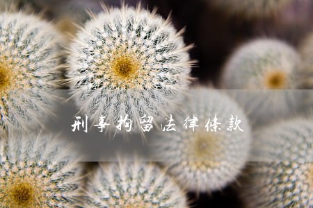 刑事拘留法律条款 刑事拘留法律条款
