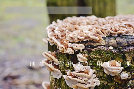 刑事拘留申诉信用卡逾期 刑事拘留申诉信用卡逾期