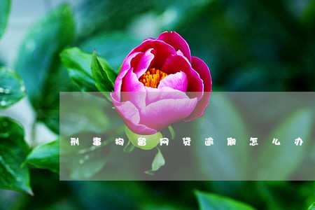 刑事拘留网贷逾期怎么办 刑事拘留网贷逾期怎么办