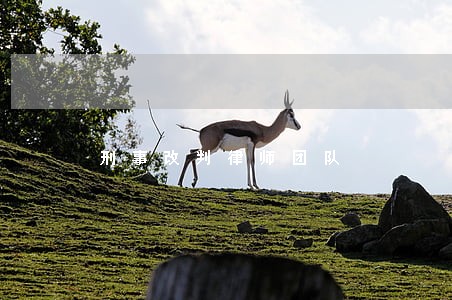 刑事改判律师团队 刑事改判律师团队