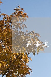 刑事案件侦查阶段法律意见书