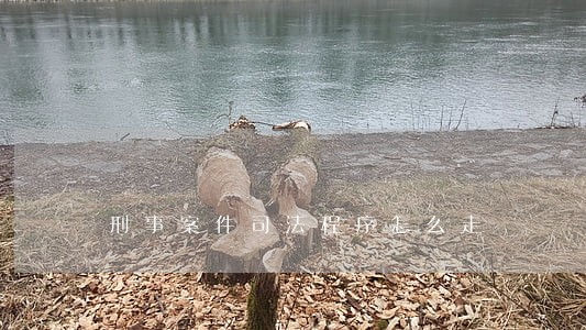 刑事案件司法程序怎么走 刑事案件司法程序怎么走