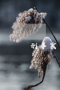 刑事案件坦白量刑的法律条文 刑事案件坦白量刑的法律条文