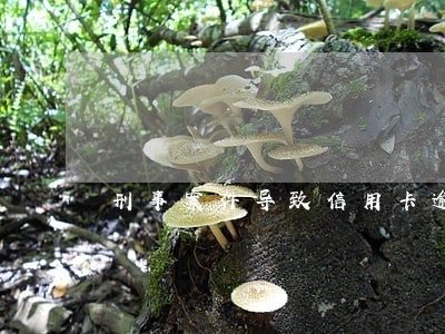 刑事案件导致信用卡逾期 刑事案件导致信用卡逾期