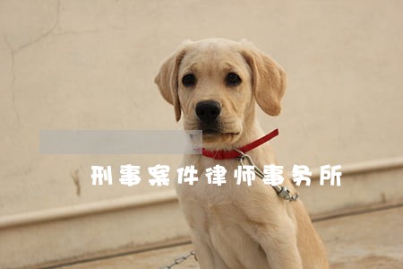 刑事案件律师事务所 刑事案件律师事务所