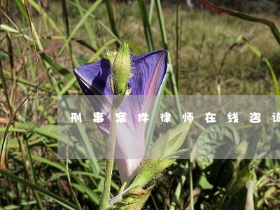 刑事案件律师在线咨询 刑事案件律师在线咨询