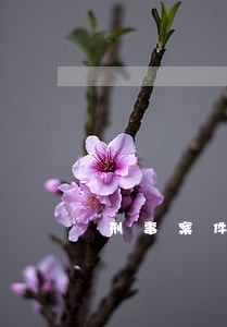 刑事案件扣押物品的法律依据 刑事案件扣押物品的法律依据