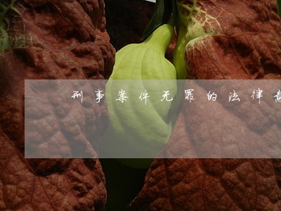 刑事案件无罪的法律意见书 刑事案件无罪的法律意见书