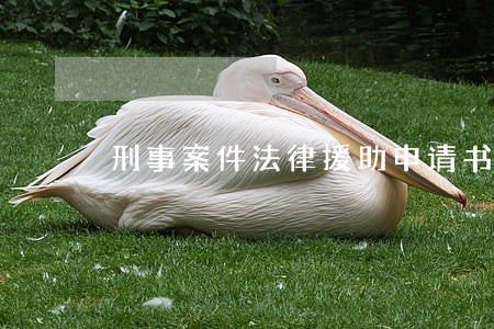 刑事案件法律援助申请书样本图片