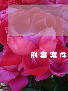 刑事案件法院什么时候换押