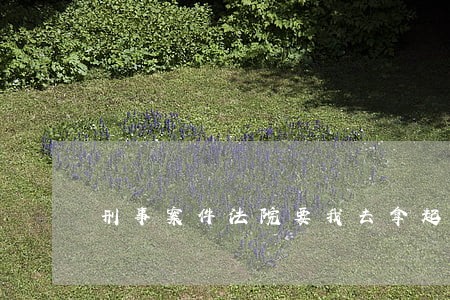 刑事案件法院要我去拿起诉书 刑事案件法院要我去拿起诉书