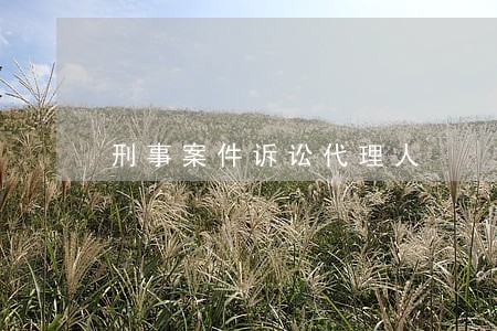 刑事案件诉讼代理人 刑事案件诉讼代理人