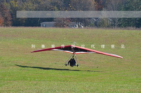 刑事案件诉讼代理意见