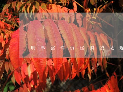 刑事案件诉讼时效法规 刑事案件诉讼时效法规