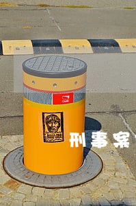 刑事案件请律师什么意思 刑事案件请律师什么意思