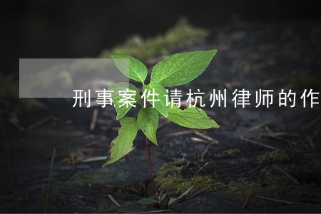 刑事案件请杭州律师的作用有多大 刑事案件请杭州律师的作用有多大