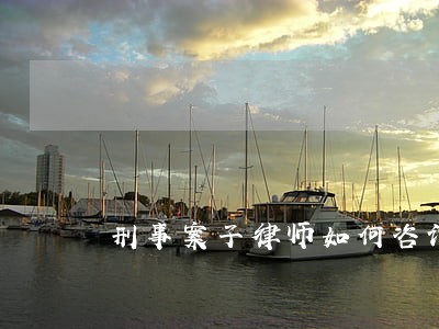 刑事案子律师如何咨询 刑事案子律师如何咨询