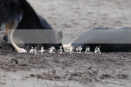 刑事案子律师热线 刑事案子律师热线