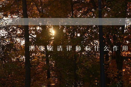 刑事案请律师有什么作用 刑事案请律师有什么作用