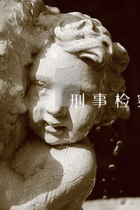 刑事检察司法解释