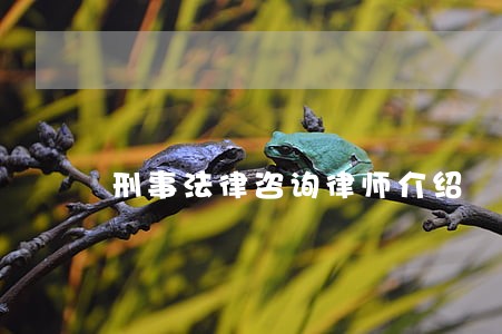刑事法律咨询律师介绍 刑事法律咨询律师介绍