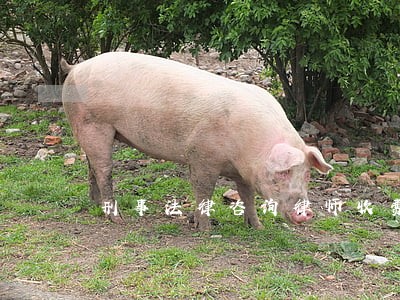 刑事法律咨询律师收费 刑事法律咨询律师收费