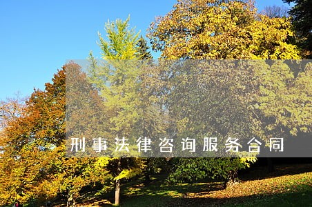 刑事法律咨询服务合同